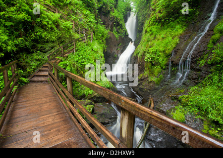Sous Passerelle Ess-na-Larach cascade, Glenariff Forest Park, dans le comté d'Antrim, en Irlande du Nord. Banque D'Images