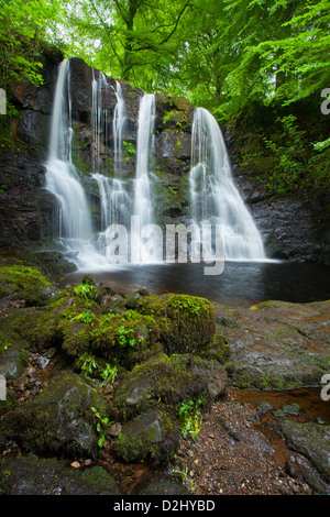 Ess-Na-Crub Cascade, Glenariff Forest Park, dans le comté d'Antrim, en Irlande du Nord. Banque D'Images