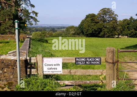 Les vaches avec les veaux peuvent être agressif panneau d'avertissement par un sentier montant à un champ dans Chasleton, Oxfordshire, UK Banque D'Images