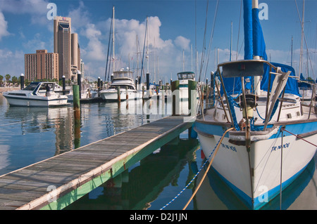 Les bateaux de plaisance à Lawrence Street T-chef pier, du centre-ville de Tours derrière à la baie de Corpus Christi, Corpus Christi, Texas, États-Unis Banque D'Images