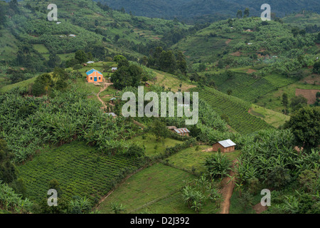 Vue sur les montagnes et les collines de l'Ouganda, l'Afrique Banque D'Images