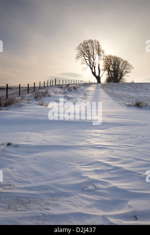 Sur la colline d'hiver Linley, Shropshire, England, UK Banque D'Images