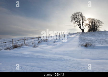 Sur la colline d'hiver Linley, Shropshire, England, UK Banque D'Images