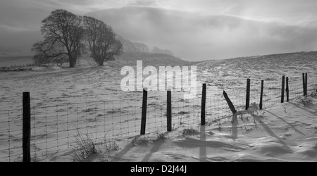 Panorama sur la colline d'hiver Linley en monochrome, Shropshire, England, UK Banque D'Images