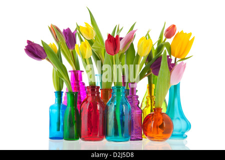 Tulipes colorées un par un dans des vases de verre Banque D'Images