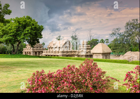 Cinq Rathas, Mamallapuram, Tamil Nadu, Inde. Un exemple de 7e siècle rock monolithique la sculpture. Banque D'Images