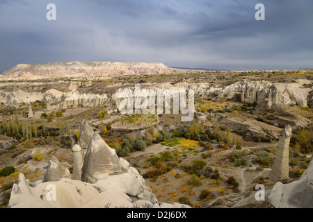 Vignobles et vergers parmi les cheminées de fée dans la vallée de l'amour du parc national de Göreme Turquie Banque D'Images