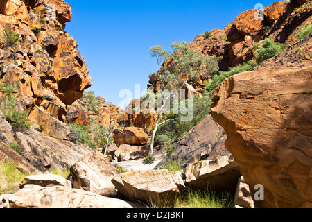 Roma Gorge, Territoire du Nord, Australie Banque D'Images