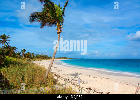 Bahamas, Île Eleuthera, Poponi Beach Banque D'Images