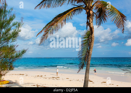 Bahamas, Île Eleuthera, Poponi Beach Banque D'Images