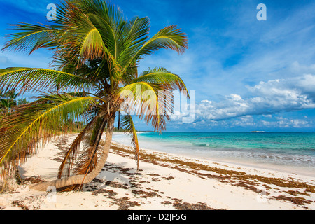 Bahamas, Île Eleuthera, Double Bay Beach Banque D'Images