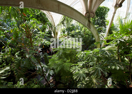 Vue depuis la passerelle de la Palm House de Kew Gardens, London, UK Banque D'Images