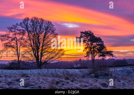 Lever de soleil, hiver, neige, Dumfries Banque D'Images