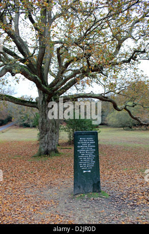 2e King William a été tué sous un chêne où le Rufus Stone est maintenant dans la New Forest, Hampshire, Angleterre, Royaume-Uni. Banque D'Images