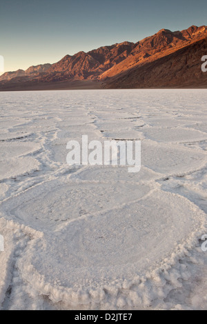 Polygones de sel pan au-dessous de la Montagne Noire à Badwater, Death Valley National Park, en Californie. Banque D'Images