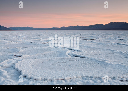 Polygones de sel à pan Badwater pendant le coucher du soleil, Death Valley National Park, en Californie. Banque D'Images