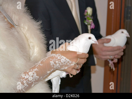 Les pigeons blancs dans les mains d'un couple marié Banque D'Images