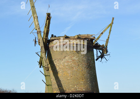 Vue d'hiver de Brograve moulin de drainage, près de Horsey, Norfolk Broads, Parc National Banque D'Images