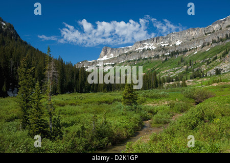 WY00262-00...WYOMING - Canyon de la mort dans le Grand Teton National Park. Banque D'Images