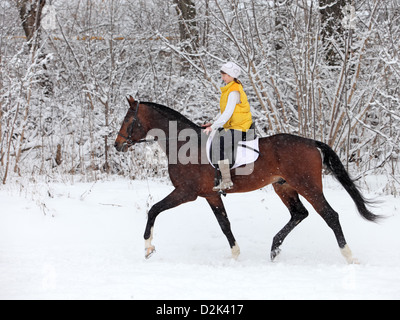 Girl riding dans la forêt d'hiver Banque D'Images