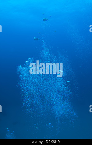 Un plongeur de bulles de plus en plus de place dans l'eau bleue Banque D'Images