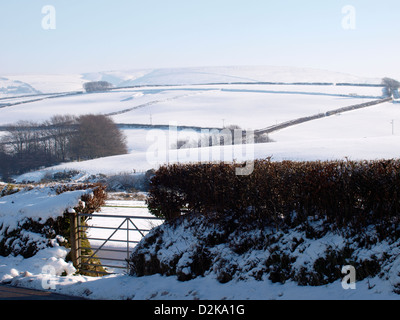 Field gate, Exmoor, Devon, UK dans la neige, Janvier 2013 Banque D'Images