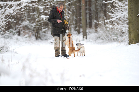 L'homme à nourrir ses chiens avec une traiter tandis que dehors la marche dans une forêt sur un jour froid et enneigé. Banque D'Images