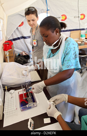 Carrefour, Haïti, le laboratoire étudie un assistant médical échantillons Banque D'Images