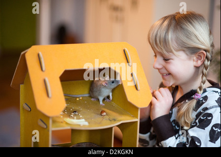 Berlin, Allemagne, fille joue avec un rat apprivoisé Banque D'Images