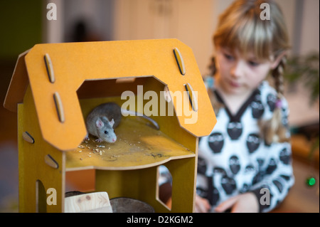 Berlin, Allemagne, fille avec un rat apprivoisé Banque D'Images