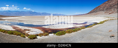 Le bassin de Badwater, Death Valley NP, USA Banque D'Images