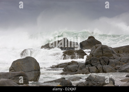 Les vagues lourdes et surfez sur les roches de granit sur la côte ouest de l'Afrique du Sud, à Postberg, West Coast National Park. L'Afrique du Sud. Banque D'Images