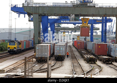 Rail nord-terminal de fret, port de Felixstowe, Suffolk, UK. Banque D'Images