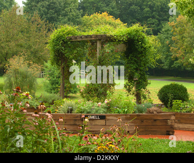 Jardin des plantes utilisées pour l'éducation et de fleurs Banque D'Images