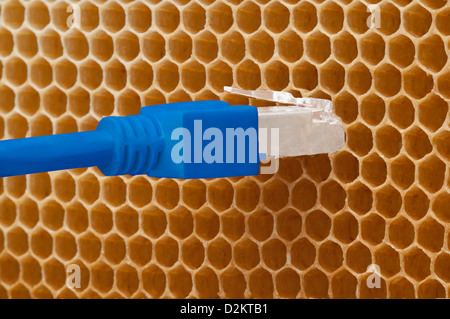 Honey comb avec ethernet LAN . Banque D'Images