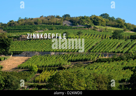 Alsace Grand Cru Zinnkoepfle entre les villages Westhalten et Soultzmatt, Alsace, France Banque D'Images