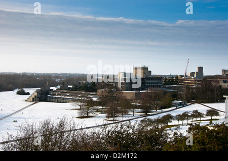L'Université d'East Anglia UEA dans la neige Banque D'Images