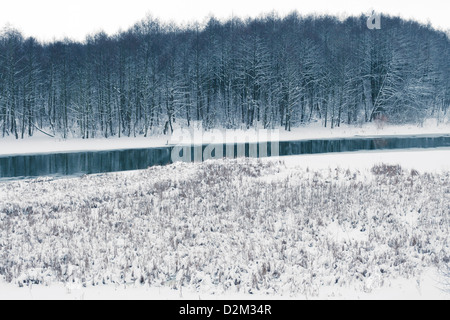 Marais d'hiver avec petite rivière et forêt sombre sur l'arrière Banque D'Images