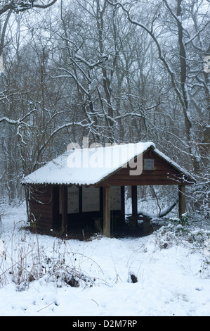 Une cabane ou un abri dans un bois dans la neige en hiver Cambridgeshire UK . Le centre d'interprétation de William Palmer Hayley en bois Banque D'Images