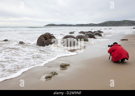 Les touristes à l'île du Sud,Moeraki Boulders, Nouvelle-Zélande Banque D'Images