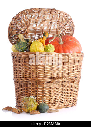 Panier en osier plein de citrouilles et courges d'été sur fond blanc Banque D'Images