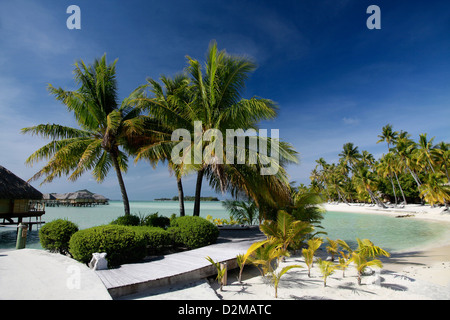 Bungalows sur pilotis sur le lagon à Bora Bora Banque D'Images