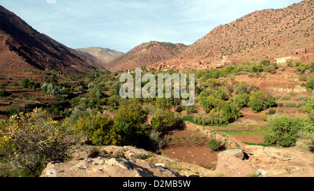 Tijhza ( Tighza village) et la mosquée avec zone d'élevage en premier plan. Banque D'Images