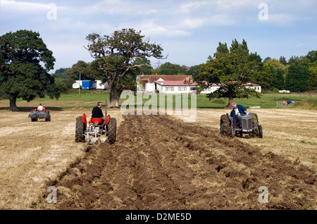 Les passionnés du tracteur Massey Ferguson en rénové et les tracteurs Ferguson dans un labour Banque D'Images