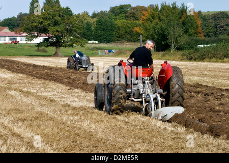 Les passionnés du tracteur dans un bâtiment rénové 35 Massey Ferguson tracteur rouge et un gris rénové Ferguson T20 dans un tracteur de labour Banque D'Images