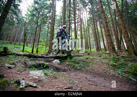 Un vélo de montagne de l'air prises comme il saute par-dessus un journal tout en montant vers le bas un sentier à Graz, Autriche Banque D'Images