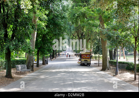 Rome. L'Italie. Vue d'une avenue bordée d'arbre feuillu à la Villa Borghese, le deuxième plus grand parc public de Rome Banque D'Images