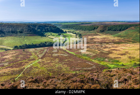 Trou de Horcum et Heather en fleurs sur cette belle journée à l'automne au milieu de la North York Moors, goathland, Yorkshire, UK. Banque D'Images