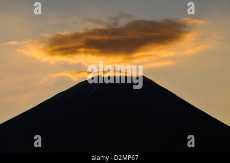 L'aube sur le sommet du Mont Fuji de l'Asagiri Highlands, Japon Banque D'Images