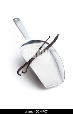 Les gousses de vanille et du sucre sur scoop Banque D'Images